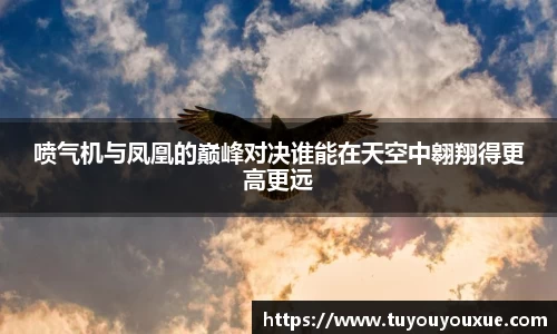 喷气机与凤凰的巅峰对决谁能在天空中翱翔得更高更远